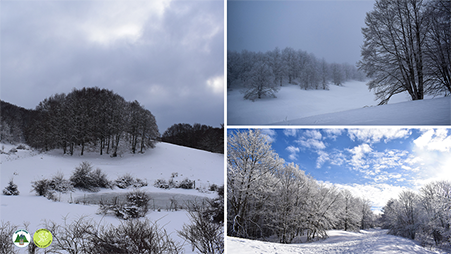 I tre confini con le ciaspole è una rilassante escursione sulla neve tra gli ampie faggete e pianori carsici del Parco Monti Simbruini.