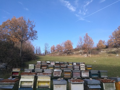 Monitoraggio Ambientale tramite prodotti apistici - Risultati Anno 2022
